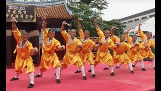 Shaolin Kungfu Masters [upl. by Crofton]