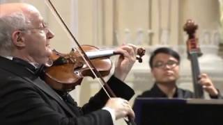 Antonio Vivaldi – Violin Concerto in gminor RV 317 [upl. by Rovelli794]