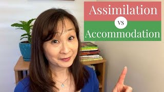 Assimilation vs Accommodation [upl. by Fulcher197]