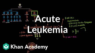 Acute leukemia  Hematologic System Diseases  NCLEXRN  Khan Academy [upl. by Micro319]