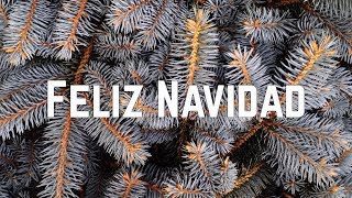 José Feliciano  Feliz Navidad Lyrics [upl. by Mizuki]