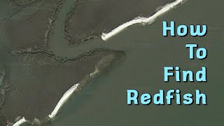 How to Find Redfish [upl. by Annail]