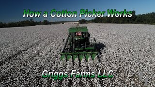 How A Cotton Picker Works 4K [upl. by Lolly621]