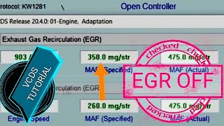 VCDS  EGR Delete [upl. by Kreindler]