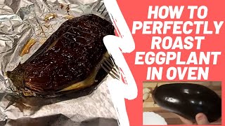 How to Roast Aubergine Eggplant Perfectly in Oven  The Speed Cook [upl. by Layman648]