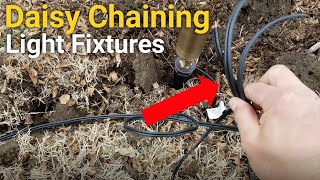 How to Daisy Chain Lights Together  Landscape Lighting [upl. by Westphal]