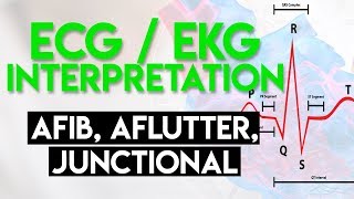 Afib Aflutter Junctional Arrhythmias  ECG EKG Interpretation Part 4 [upl. by Emmy641]