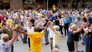 Sardana Catalan Dancing in the Cathedral Square Barcelona [upl. by Akiemahs]