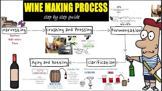 Wine making process step by step Detail guide of wine makingpreparation and making of wine [upl. by Alesram515]