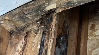 Repairing a rotted exterior wall part 2 [upl. by Nennerb]