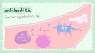 Allergy Video 1 What is an Allergy [upl. by Aiekat]