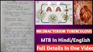 Micobacterium tuberculosis  Mycobacterium tuberculi microbiology [upl. by Ennahtebazile]