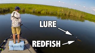 Watch Redfish Eat In Delacroix Louisiana  Sight Fishing Redfish [upl. by Haimehen635]