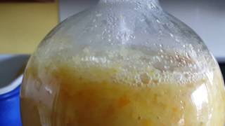 Chemistry extracting limonene oil part 1 [upl. by Tterag468]