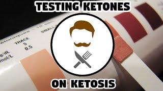 Keto Guide  Testing Ketones AT HOME [upl. by Nilya]