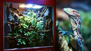 How I made a Huge Reptile Vivarium – Full Build [upl. by Niamart]