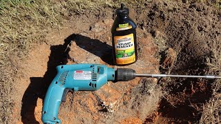 How to Remove a Tree Stump  Using Spectracide Granules [upl. by Valera]