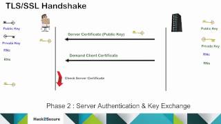 TLSSSL Protocol and Handshake Process [upl. by Higginbotham]