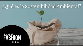 ¿Qué es la sostenibilidad ambiental [upl. by Cower]