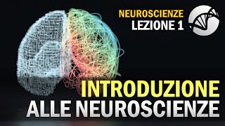 Introduzione alle Neuroscienze  NEUROSCIENZE  Lezione 1 [upl. by Orr429]