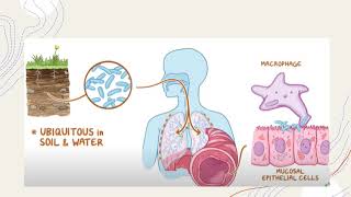 Mycobacterium Avium Complex [upl. by Ykvir]