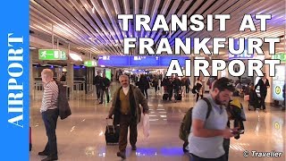 TRANSIT WALK AT FRANKFURT Airport FRA Terminal 1  Connection Flight Transfer Arriving amp Departing [upl. by Clementina169]