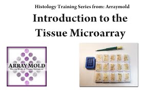 How To Create A Tissue Microarray Block [upl. by Annovy]