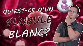 QUESTCE QUUN GLOBULE BLANC [upl. by Ymij]