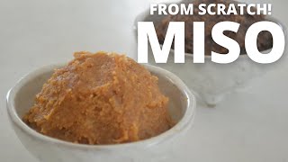 How to make ★Homemade MISO★from scratch～みその作り方～（EP79） [upl. by Eniamrehc]