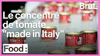 La réalité cachée derrière le concentré de tomate quotmade in Italyquot [upl. by Rise]