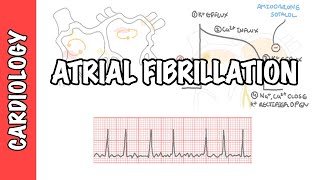 Atrial Fibrillation Overview  ECG types pathophysiology treatment complications [upl. by Fonz]