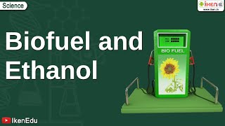 Biofuel and Ethanol  Class 10 Environmental Science  iKen [upl. by Nirag11]