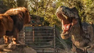 Dinosaur Adventure in the Desert  TRex Ranch 40 MINS of Kids Videos [upl. by Nosnhoj]