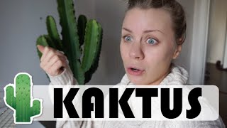 KAKTUS  vlogg [upl. by Petersen]