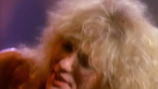 Whitesnake  Now Youre Gone  Now in HD From LOVE SONGS [upl. by Dobb]