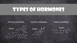 Endocrine gland hormone review  Endocrine system physiology  NCLEXRN  Khan Academy [upl. by Scoter]