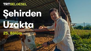 Şehirden Uzakta  Muğla  Köyceğiz  TRT Belgesel [upl. by Treblih]